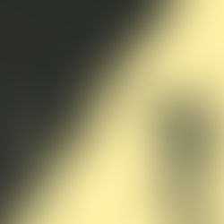 개인의 권리 vs 전체의 유익 그리고 고문의 정당화