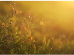 풍성한 삶의 기초 다섯번째 만남 - 참된 자기 사랑