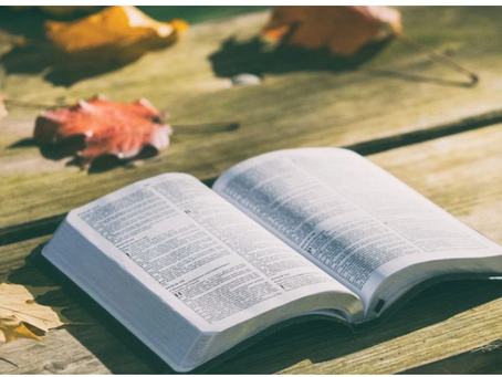 위인전과 성경책의 다른점은 해피엔딩?