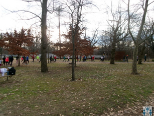 23rd parkrun at Kensington, MD USA