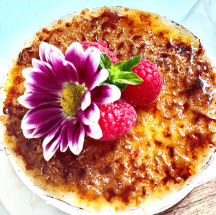 Truffle Brie Brûlée