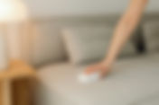 Removing Pet Stains from Your Furniture in Burnaby