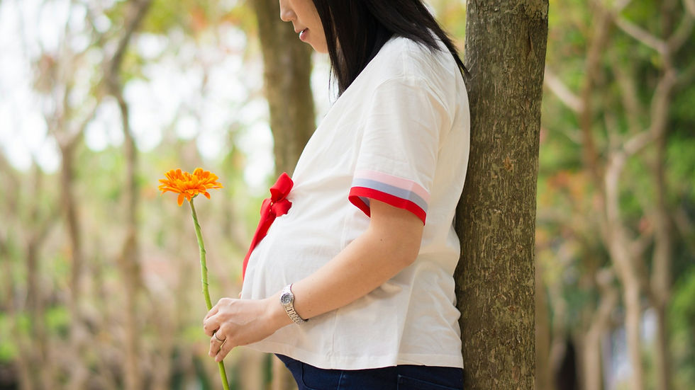 Creating Your Postpartum Support Plan for the Fourth Trimester