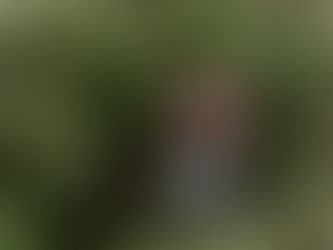 The Ultimate Guide to Gemstone Engagement Rings: Finding the Perfect Symbol of Your Love