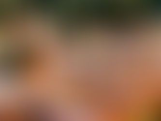 Sustainability in Catering: How One Oak Kitchen Incorporates Eco-friendly Practices into Its Event Services