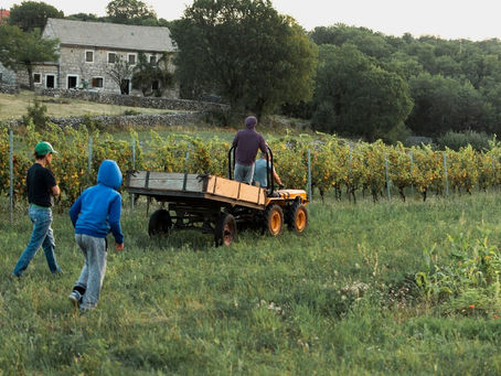How Natural Foods from Amish Farms Support Your Health