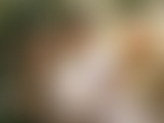 Common Questions People Have When Considering Elopement