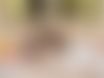 Reclaiming Balance After Spring Overload with Holistic Healing