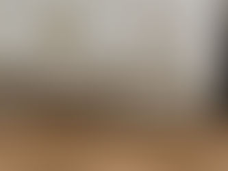 Troubleshooting Digital Furniture Placement in Empty Rooms