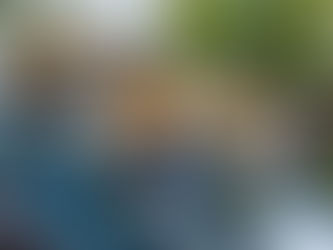 Essential Considerations for Outdoor Event Catering Success