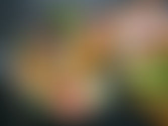 Top 5 Reasons to Choose Plant-Based Catering for Your Next Event