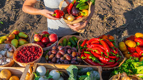 Understanding Amish Organic Labels