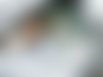 Understanding SR22 Insurance Options for Californian Drivers