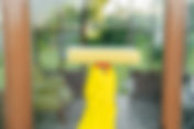 Why Eco Friendly House Cleaning Is Popular in Madison WI
