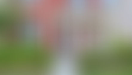 Boost Your Home's Curb Appeal with Exterior Painting Trends and Tips