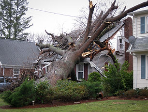 A tree lays on top of a house that has been damaged by a hurricane..jpg