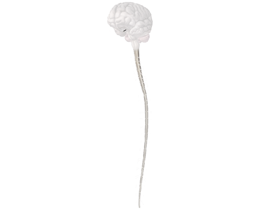 img4.gif