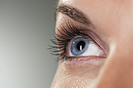Blue Eye on Grey Background
