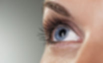 Blue Eye on Grey Background