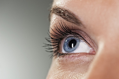 Blue Eye on Grey Background