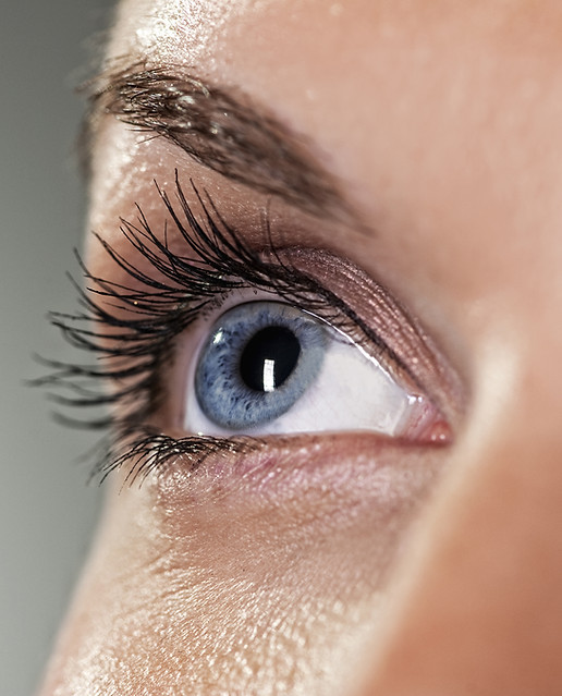 Blue Eye on Grey Background