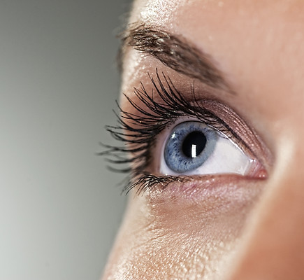 Blue Eye on Grey Background