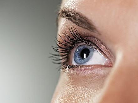 Blue Eye on Grey Background