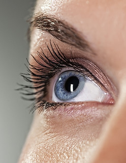 Blue Eye on Grey Background