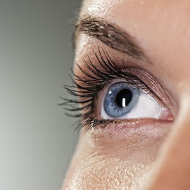 Eyelash & eyebrow tinting