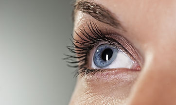 Blue Eye on Grey Background