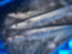 Sanma
