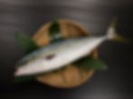 Yazu / Inada