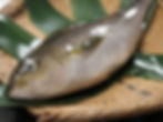 Isaki