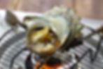 Sazae