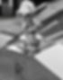 Screenshot_20250914_131804_Gallery_edited.jpg