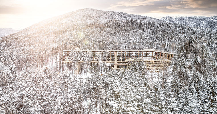 Myarbor Winter