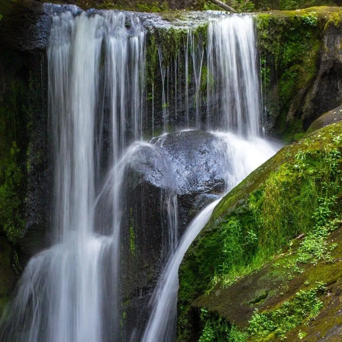 Parque Ecológico Los Dinamos