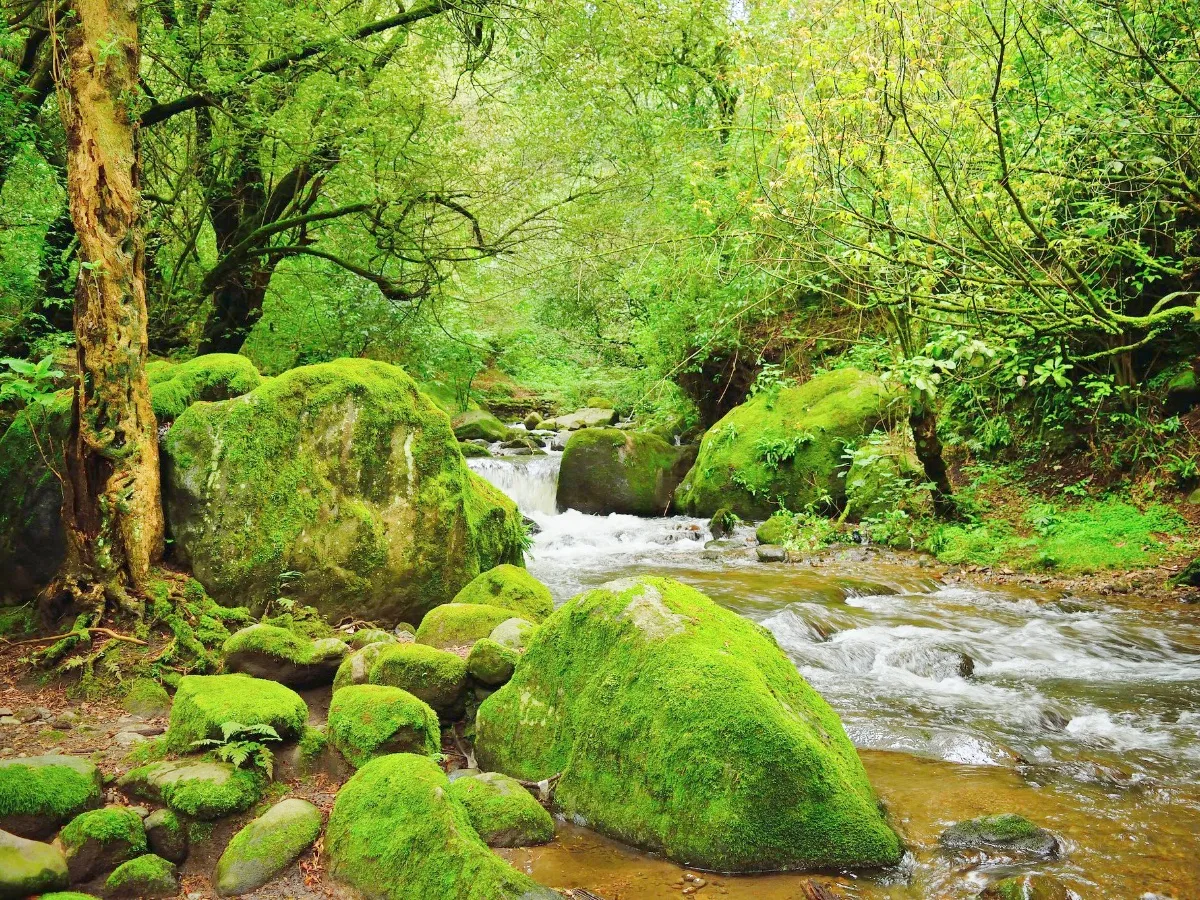 Parque Ecológico Los Dinamos