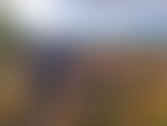 Gentleshaw Walks comes to an end