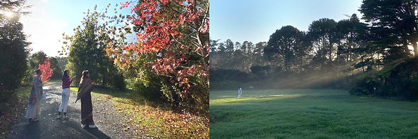 Montage of images of the campus | sunrise and autumn