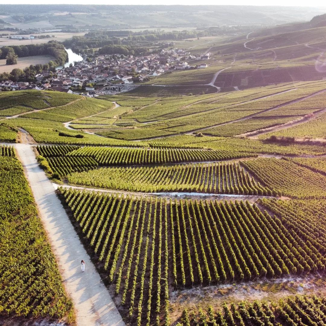Wine regions of the world