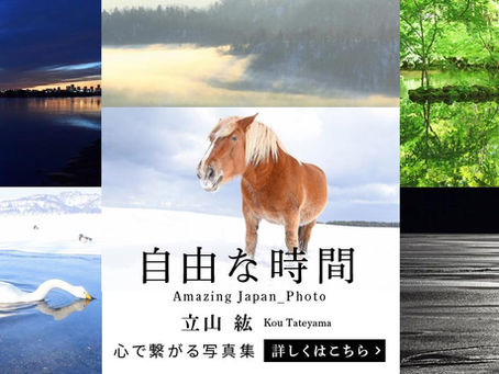 風景のオールスター『自由な時間』配信記事のお知らせ。