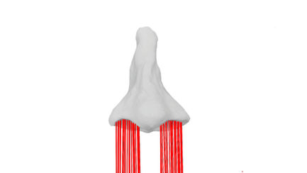 assoziation_anim_FINAL_4k.00_01_17_21.Standbild012.jpg