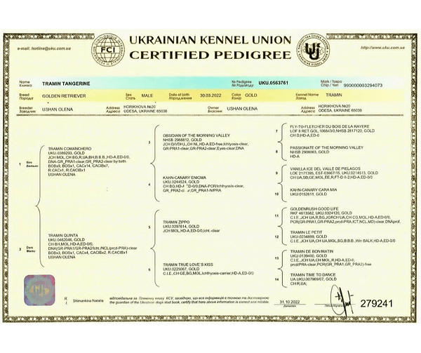 Tanz Pedigree.png