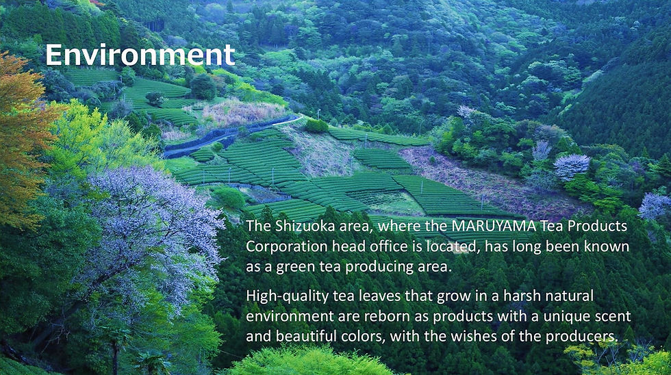 Maruyama จาก Lacmo Japan ผลิตภัณฑ์เสริมอาหารญี่ปุ่นคุณภาพสูง คัดสรรส่วนผสมเพื่อการดูแลสุขภาพในชีวิตประจำวัน