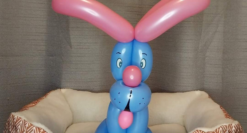 Cincinnati Balloons, Balloon Twisting Cincinnati, Balloon artist, Cincinnati balloon Twisters, Balloon Twister Cincinnati, Balloon Dog