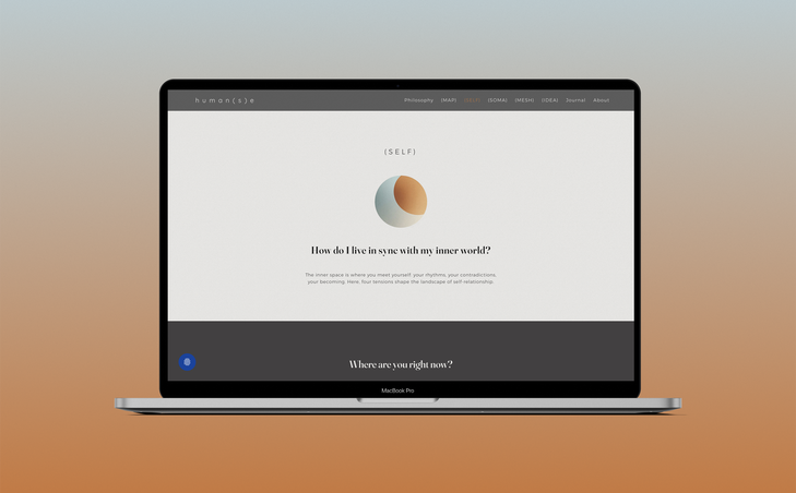Website designed by Liron Weissman