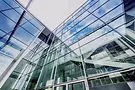 FranzAdvisory_Leistungen.webp