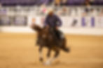 All Star Reining Stakes Reining Show Ocala