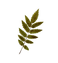 Prayer Meeting ICON bar.png